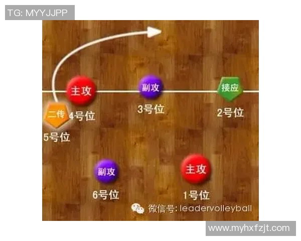 上海排球队快攻战术解析与深度剖析助力球队夺冠之路 上海排球队快攻战术解析与深度剖析助力球队夺冠之路